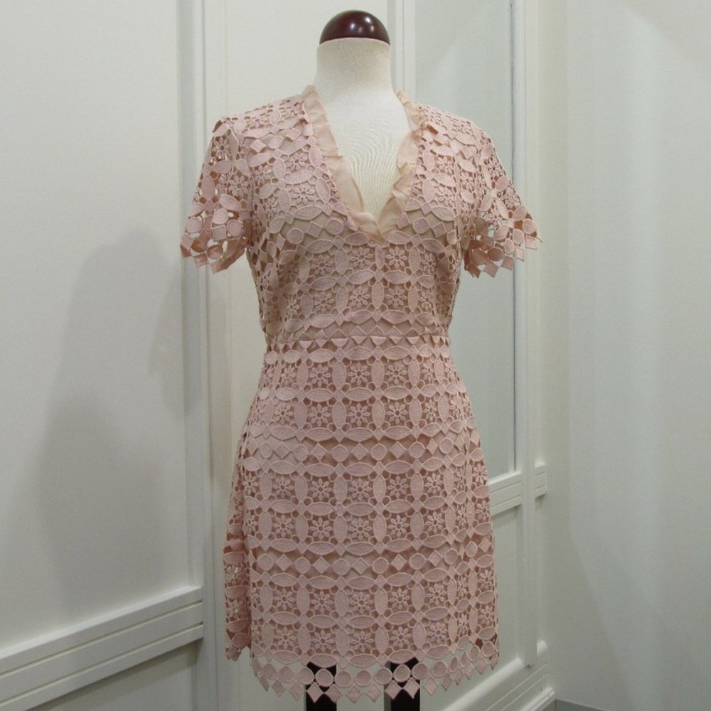 Elegant Lace Dress in Blush Pink